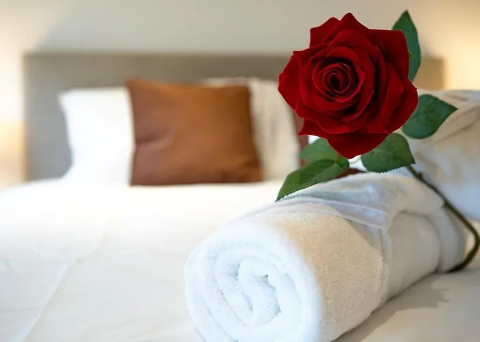 Apartment L Escapade De Stan Nancy